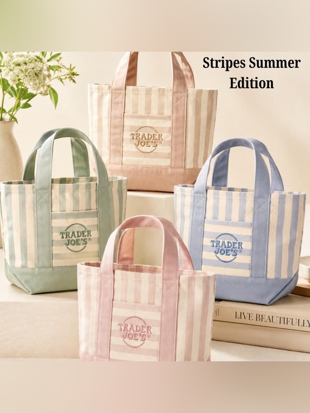Trader Joe’s Stripe Canvas Tote Bag